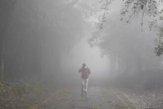 गर्म क्षेत्र तमिलनाडु के इस इलाके में ठंड का प्रकोप, जीरो डिग्री पहुंचा पारा  – India TV Hindi