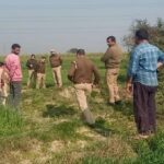 Meerut: 30 साल की महिला की हत्या, बोरे में बंद कर शव झाड़ियों में छिपाया, दुर्गंध उठने पर आई पुलिस