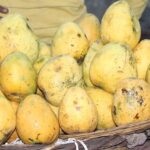 Mango: कभी देश-विदेश में थी पहचान, अब हाथरस वाले ही चख रहे बाहर का आम