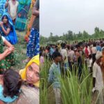 Bahraich: नाना के घर आए मासूम को उठा ले गया भेड़िया, गन्ने के खेत में बनाया निवाला; दोनों हाथ व एक पैर चबा गया