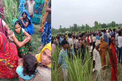 Bahraich: नाना के घर आए मासूम को उठा ले गया भेड़िया, गन्ने के खेत में बनाया निवाला; दोनों हाथ व एक पैर चबा गया