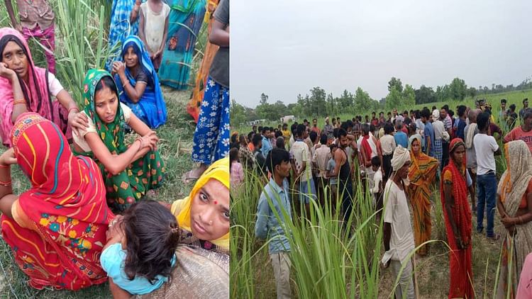 Bahraich: नाना के घर आए मासूम को उठा ले गया भेड़िया, गन्ने के खेत में बनाया निवाला; दोनों हाथ व एक पैर चबा गया
