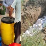 UP: दूध में मक्खी-मच्छर…रिफाइंड और तेल में भी मिलावट, इन छह प्रतिष्ठानों की हालत देख चौंके एफएसडीए अधिकारी