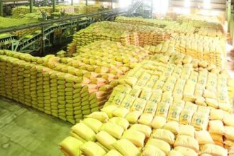 UP News: किरकिरी से ली सीख, यूपी में अब उर्वरक बिक्री पर सरकार का रहेगा डिजिटल पहरा; किसानों को मिलेगी राहत