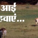 लौट आईं सर्द हवाएं,यूपी में कल से शुरू होंगी पछुआ हवाएं, दो से चार डिग्री तक लुढ़क सकता है पारा,रात को लेकर चेतावनी जारी