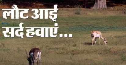 लौट आईं सर्द हवाएं,यूपी में कल से शुरू होंगी पछुआ हवाएं, दो से चार डिग्री तक लुढ़क सकता है पारा,रात को लेकर चेतावनी जारी