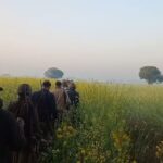 UP: चार एसपी, चार सीओ, 26 इंस्पेक्टर और 300 जवान…साइबर ठगों को पकड़ने के लिए पुलिस का सबसे बड़ा ऑपरेशन